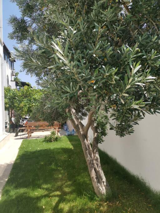Brand New 2 Bedroom Garden Floor Flat With Pool A1 Bodrum Esterno foto